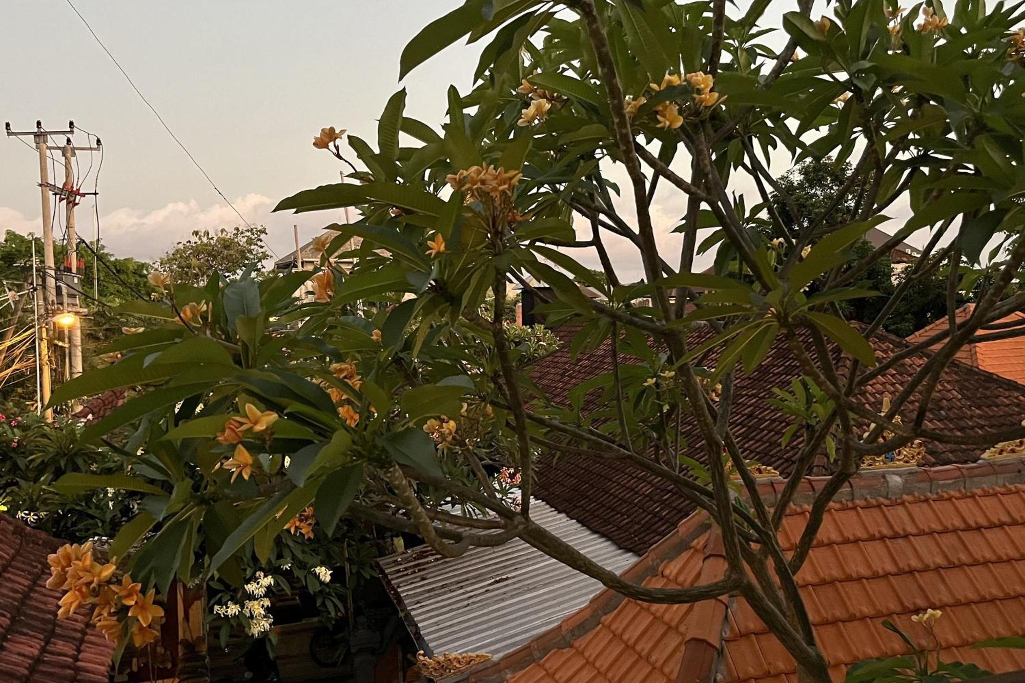 Puri Kasih Home Stay Sanur Zewnętrze zdjęcie